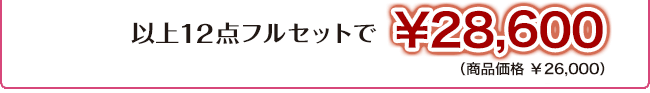 ¥28,600(商品価格 ¥26,000)