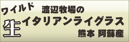ワイルドイタリアンライグラス