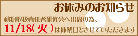 臨時休業日のお知らせ